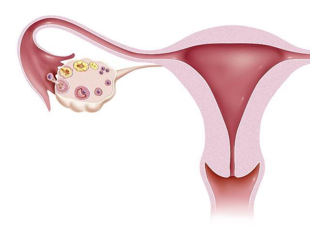 女性子宫内膜偏薄可以做试管吗？